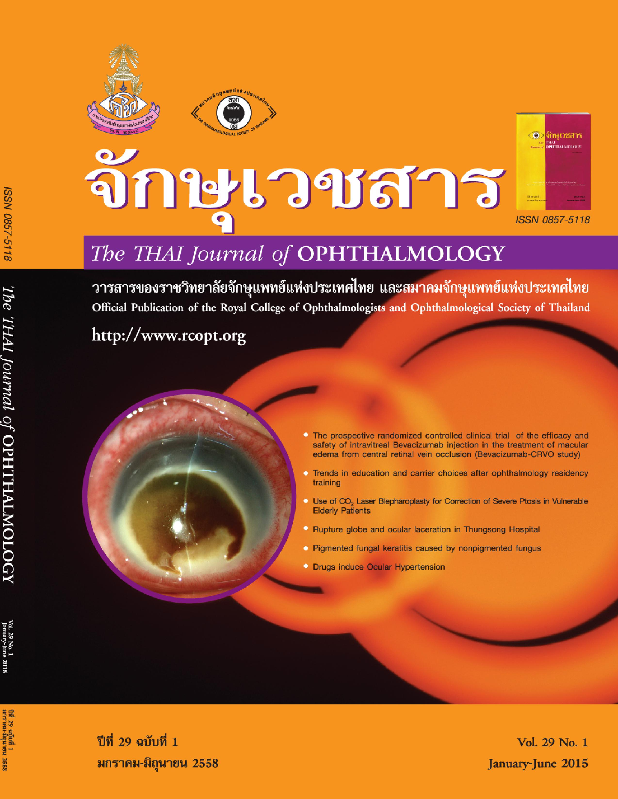 cover vol 29 no1.jpg